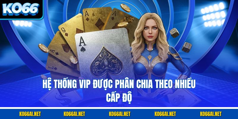 Hệ thống VIP được phân chia theo nhiều cấp độ 